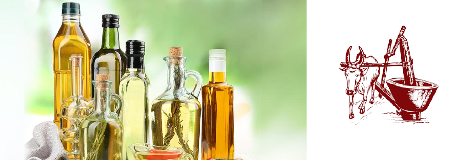 Generic placeholder image 